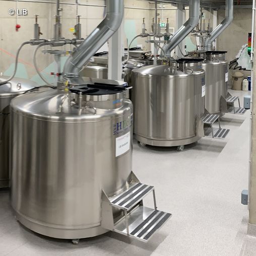 Mehrere große, zylindrische Edelstahlbehälter mit angeschlossenen Lüftungsrohren in einem Laborraum der Biobank des Leibniz-Instituts zur Analyse des Biodiversitätswandels in Bonn