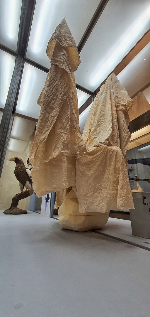 Enterventionale Ausstellungsraum