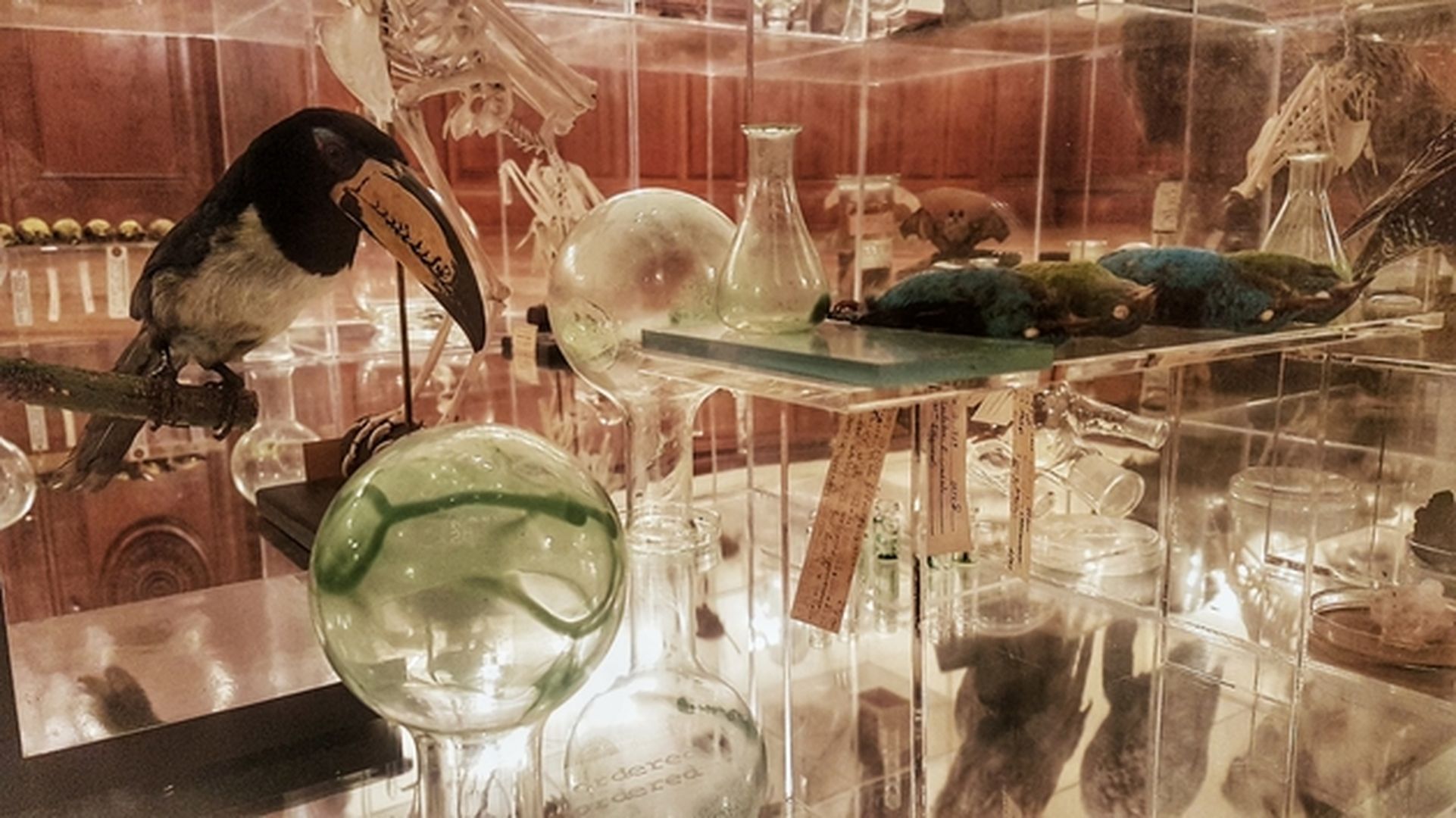 Ausstellungsraum