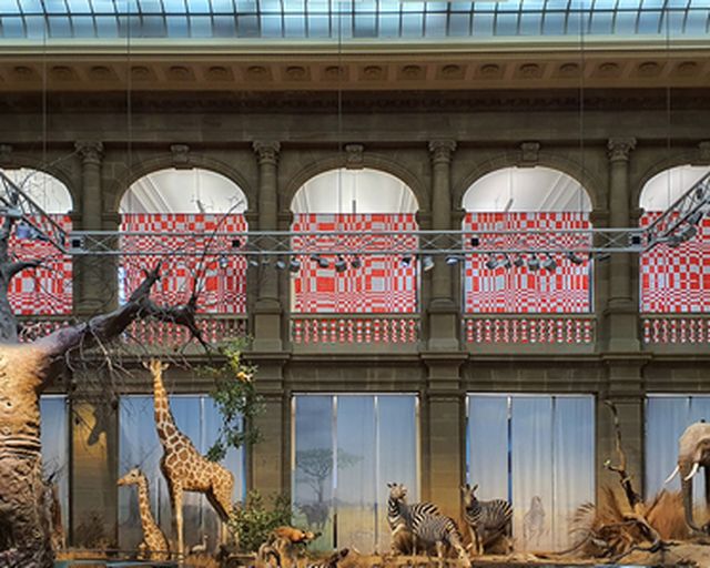 Enterventionale Ausstellungsraum