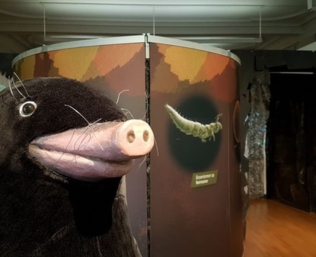 Maulwurf Figur in Ausstellungsraum