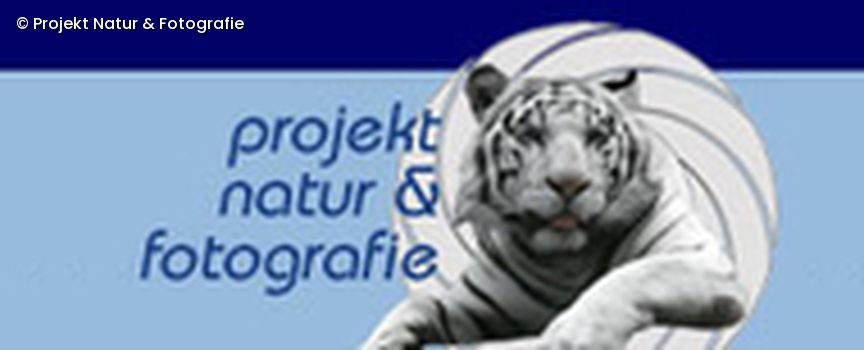 Projekt Natur & Fotografie Logo