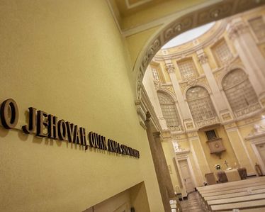 Enterventionale Ausstellungsraum