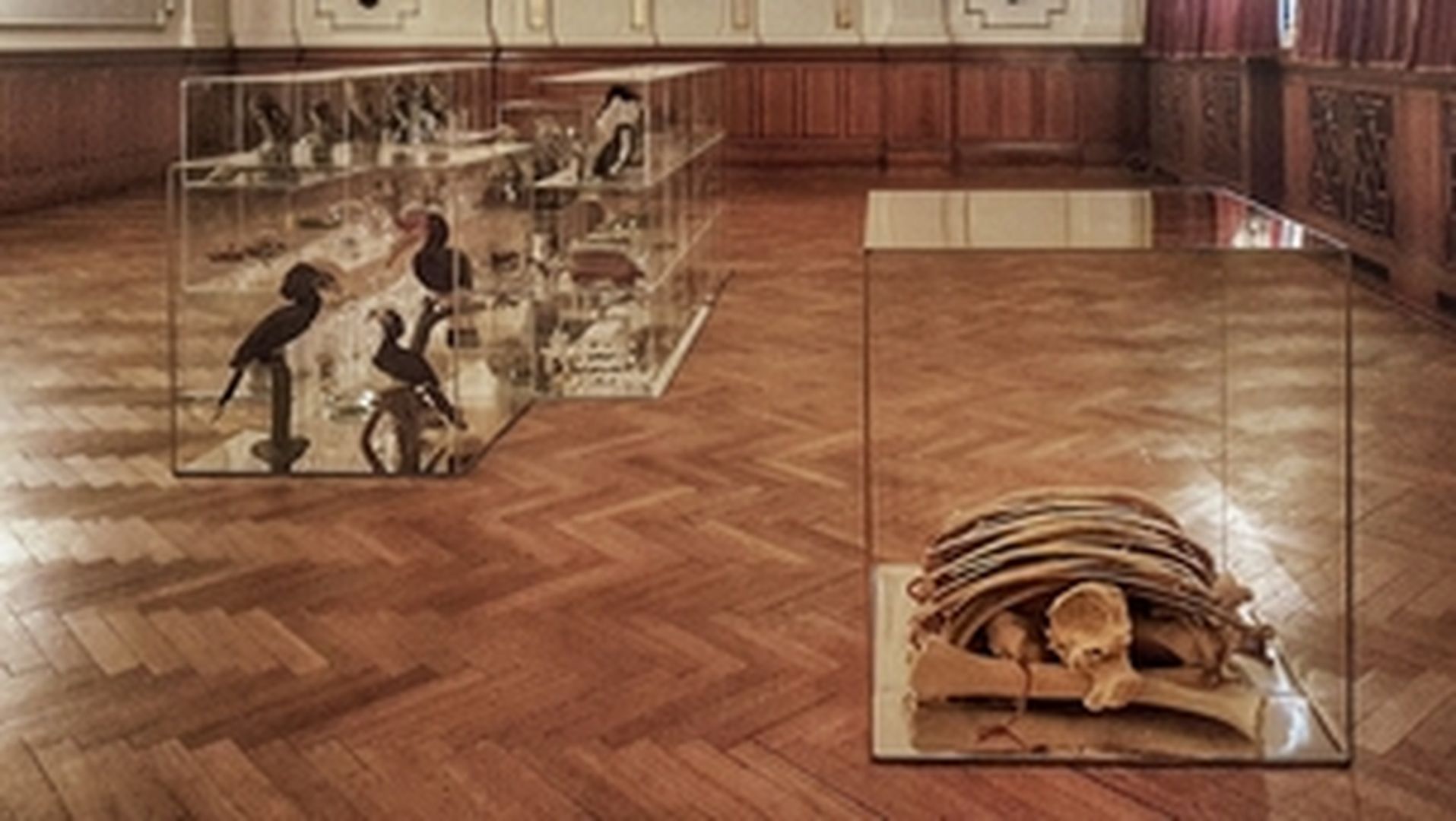 Ausstellungsraum
