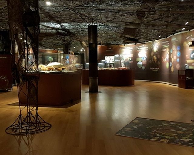 Ausstellungsraum