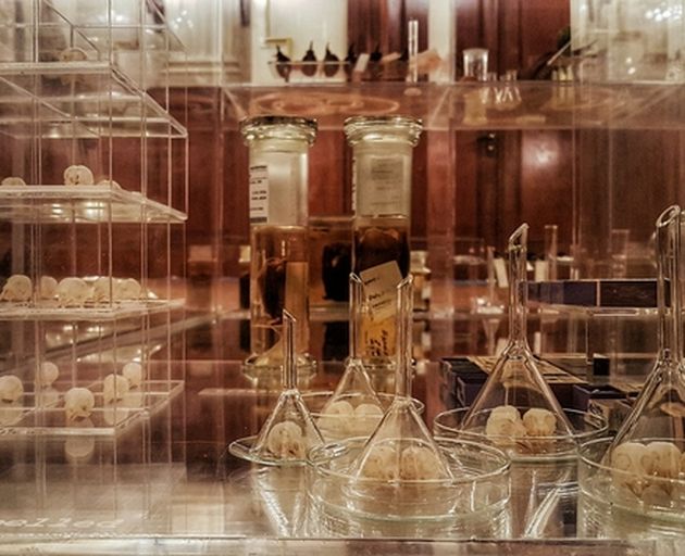 Ausstellungsraum