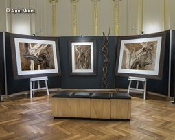 Bilder in Ausstellungsraum