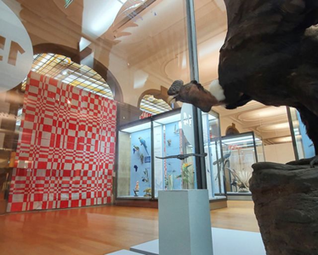 Enterventionale Ausstellungsraum