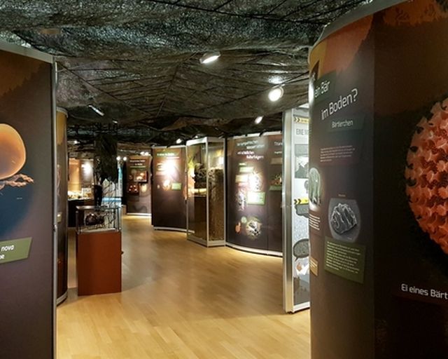 Ausstellungsraum