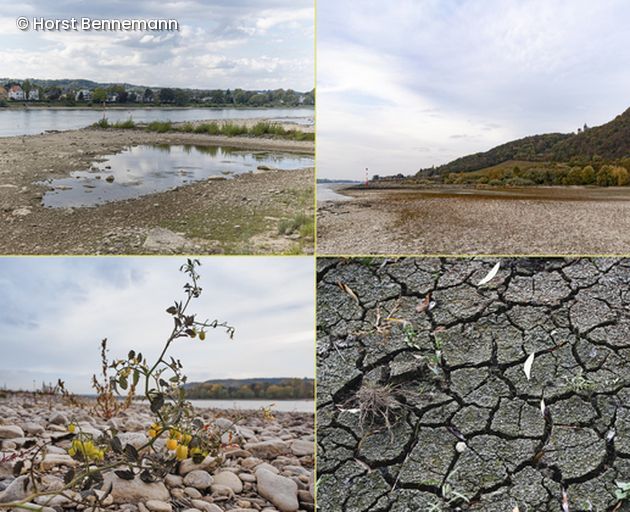 Collage aus Bildern mit trockenem Boden