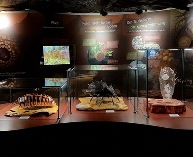 Ausstellungsraum