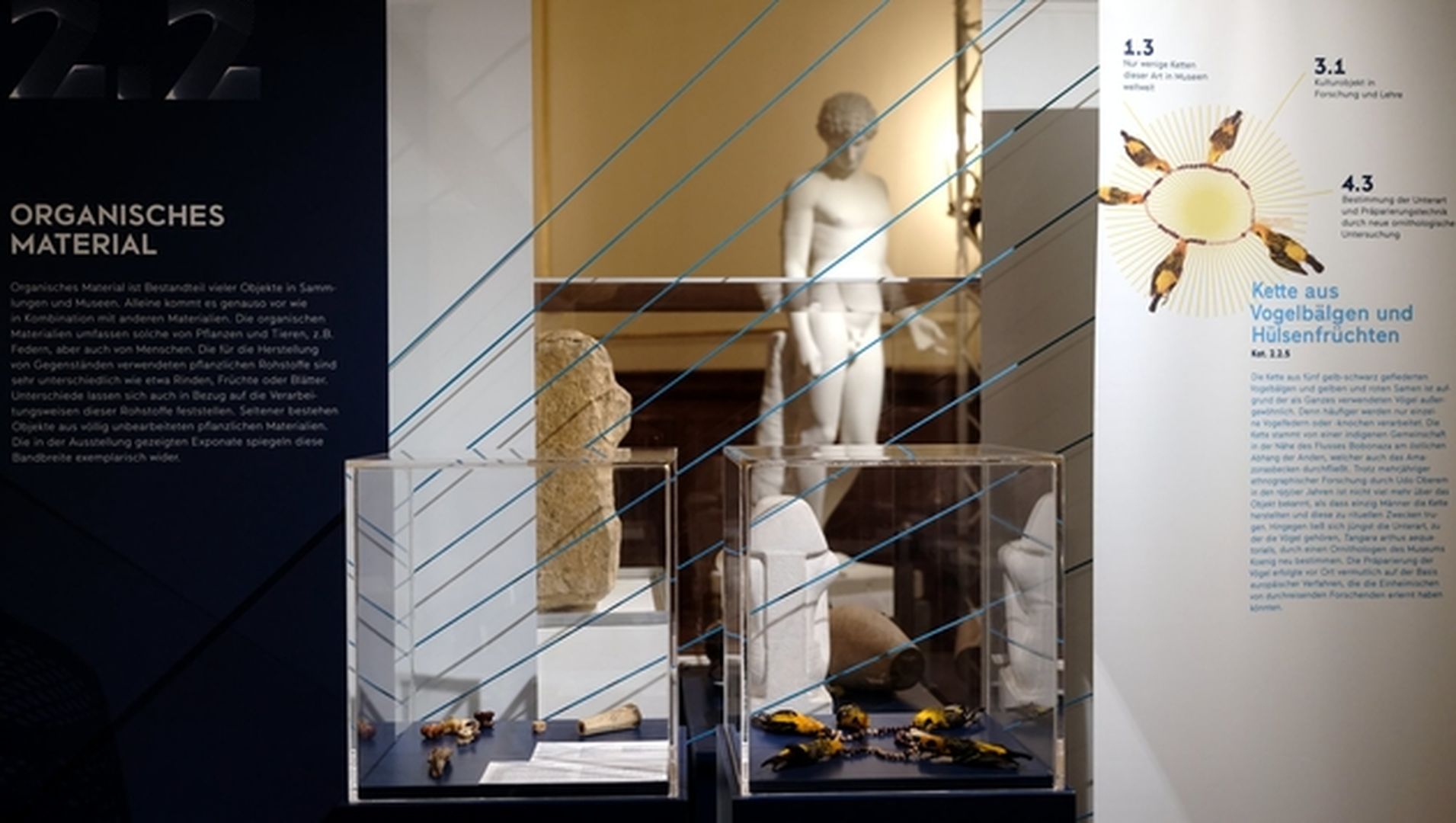 Kosmos Ausstellungsraum