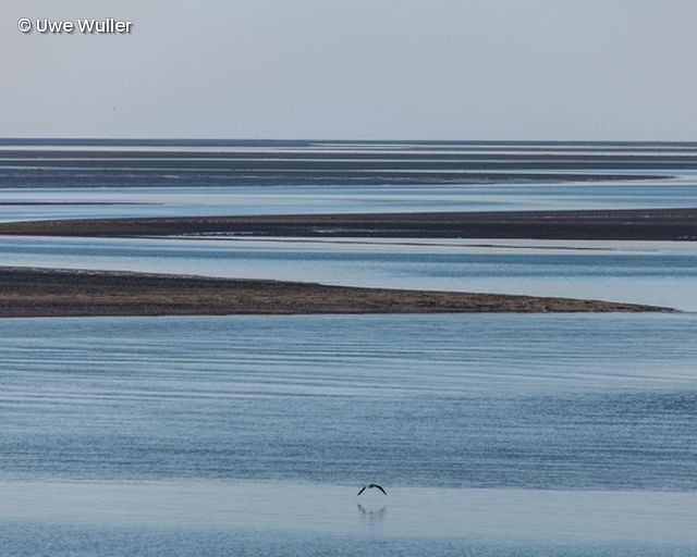 Wasser mit Sandbänken