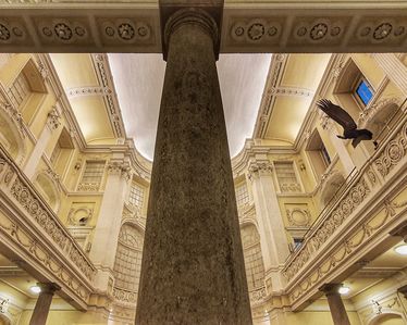 Enterventionale Ausstellung