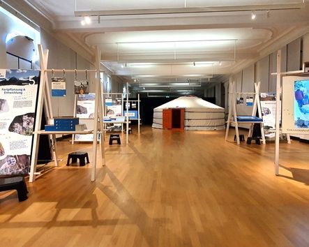 Schneeleo Ausstellung