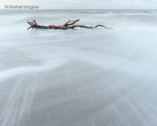 Ast am Strand