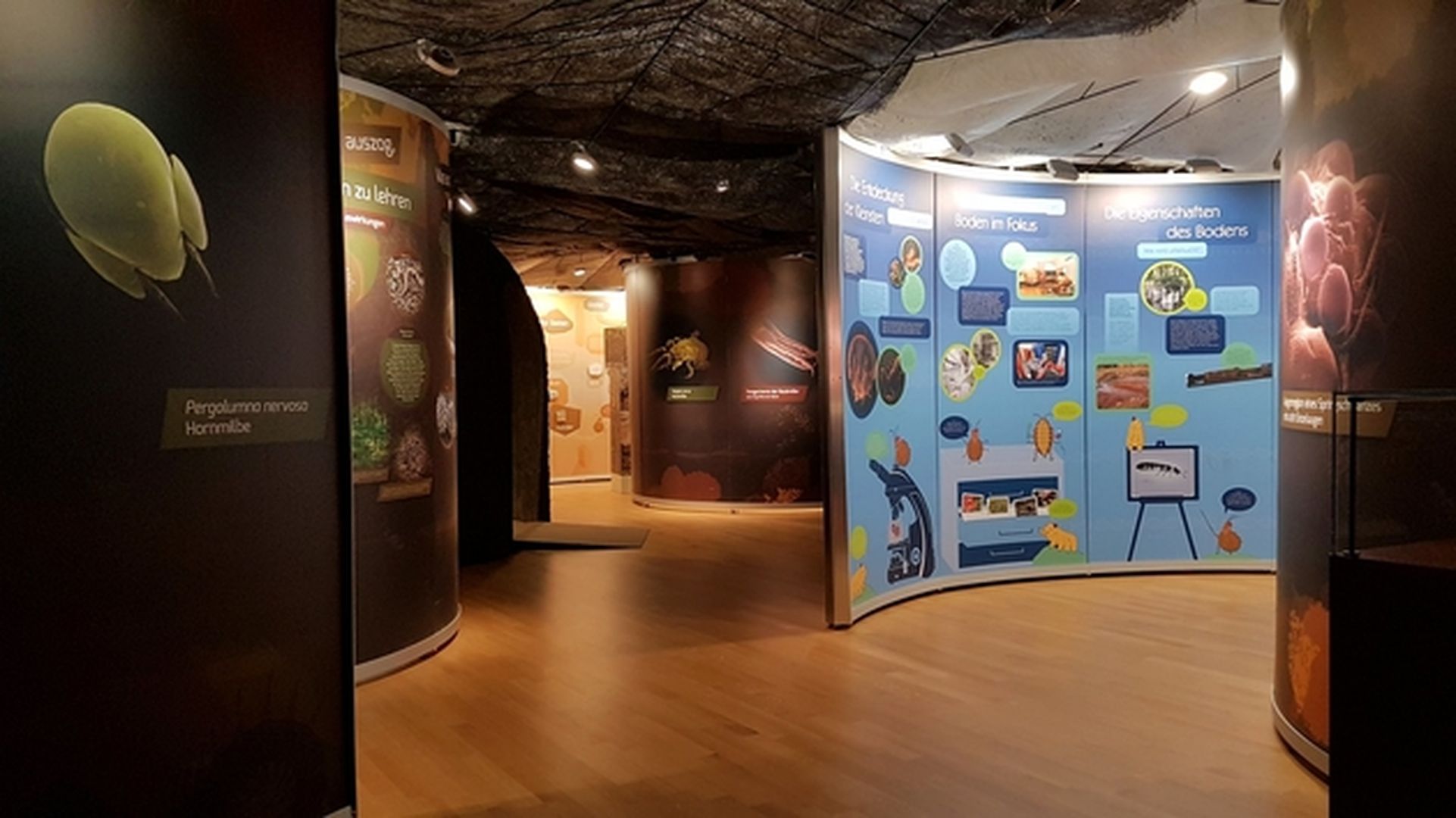 Ausstellungsraum