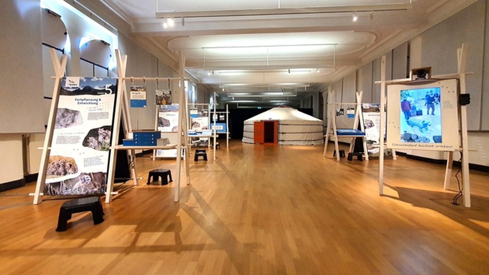 Schneeleo Ausstellung