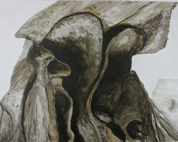 Tapirschädel (Detail), Tusche/Schellack