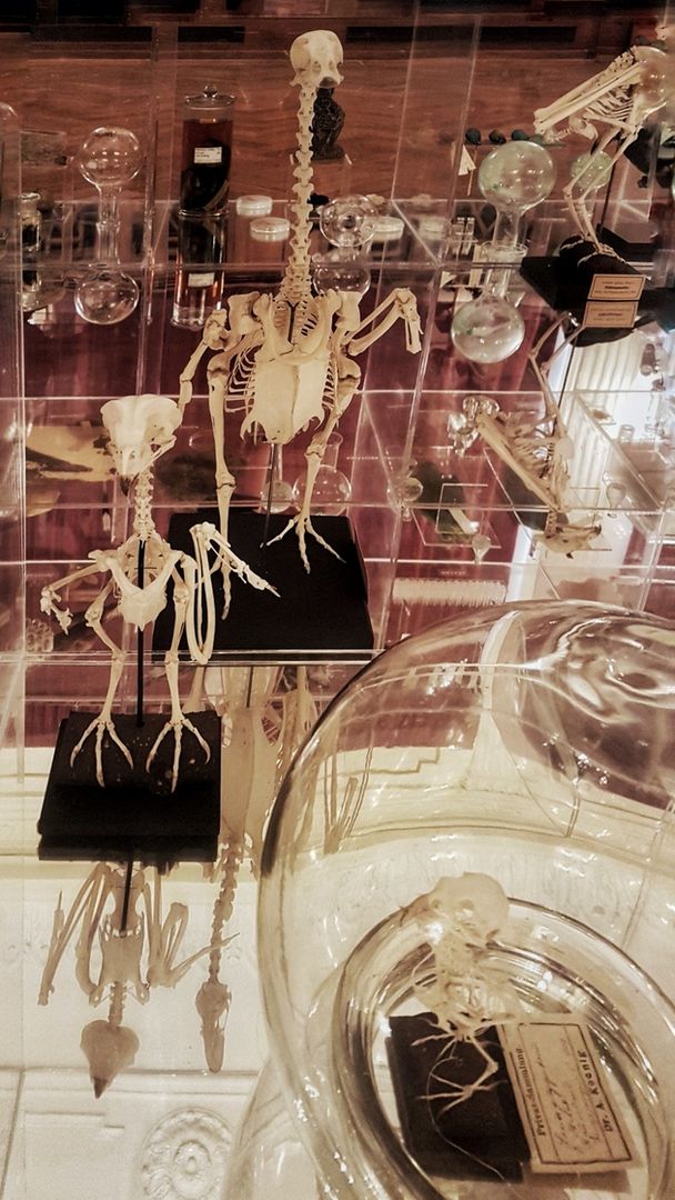 Ausstellungsraum