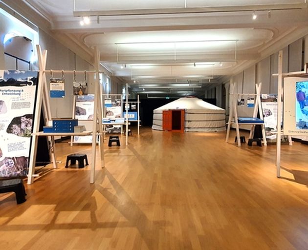 Schneeleo Ausstellung