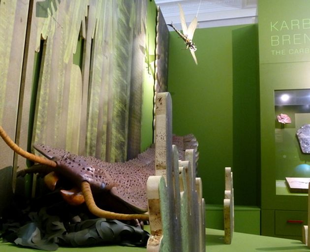 Kakerlaken Modell in Ausstellung