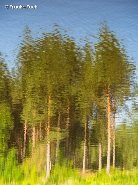 Wald