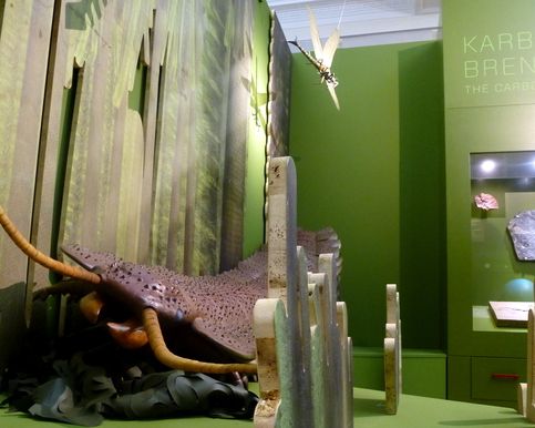 Kakerlaken Modell in Ausstellung
