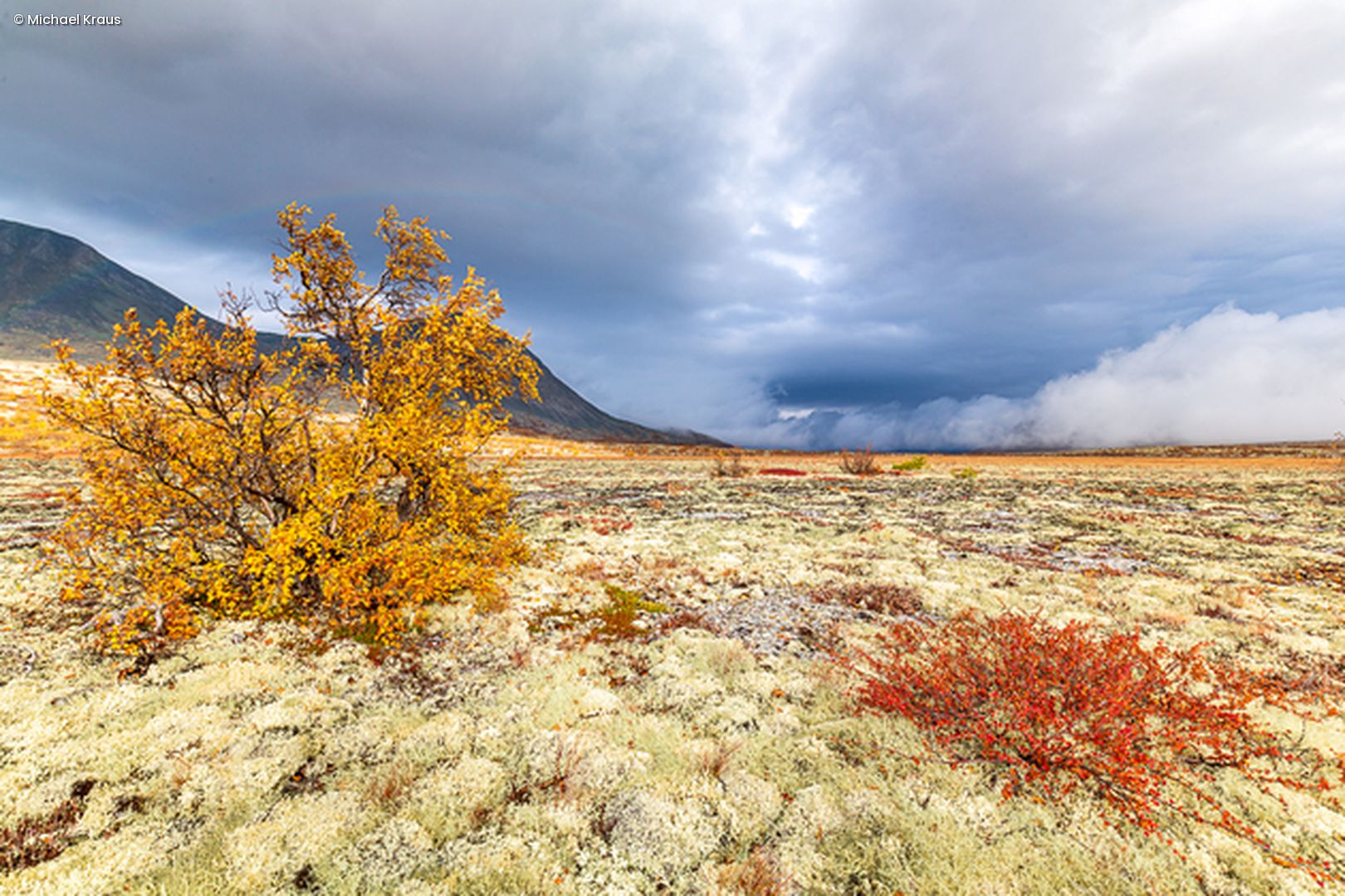 Landschaft mit gelb-orangener Landschaft