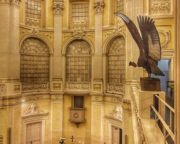 Enterventionale Ausstellung