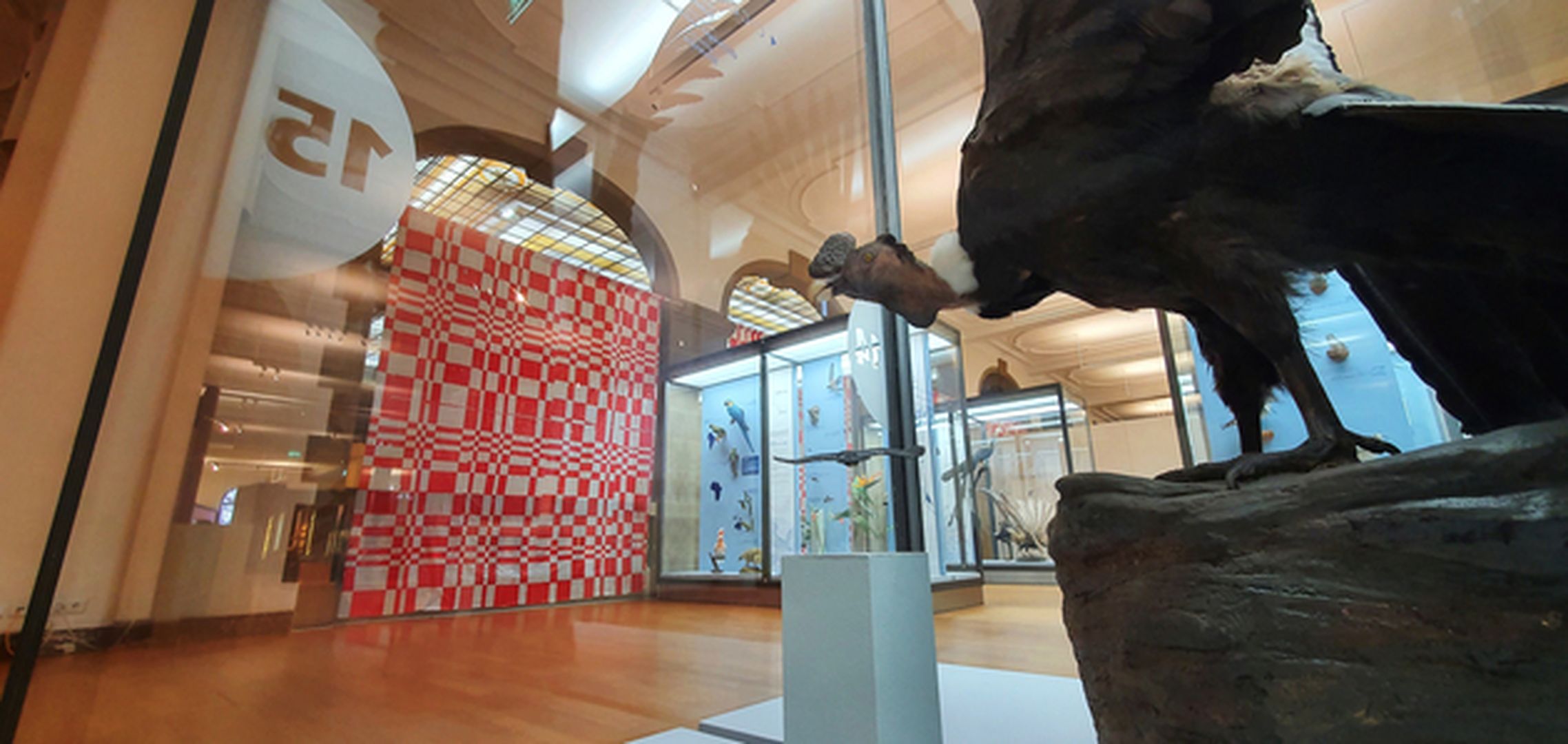 Enterventionale Ausstellungsraum
