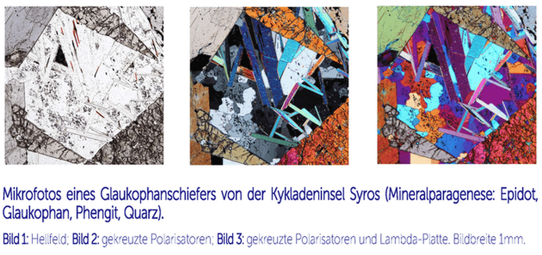 Bunte Collage