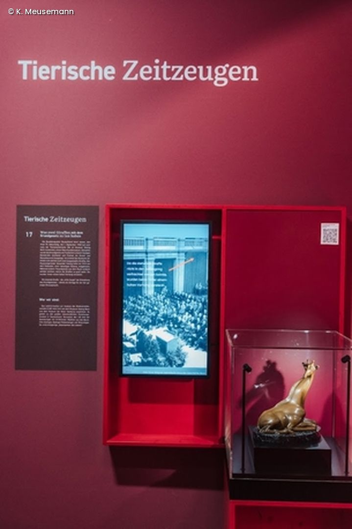 Ausstellungsvitrine mit Bundesgiraffe