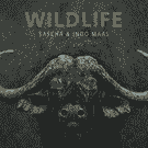Wildlife Logo & Bullen-Kopf