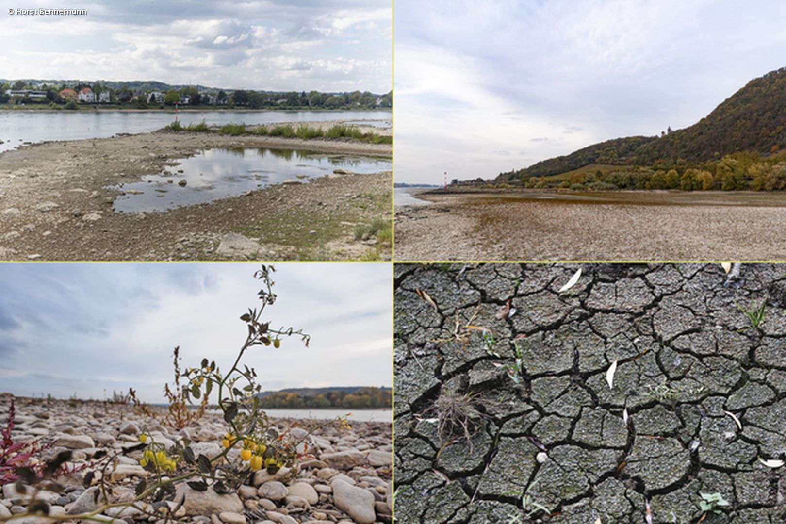 Collage aus Bildern mit trockenem Boden