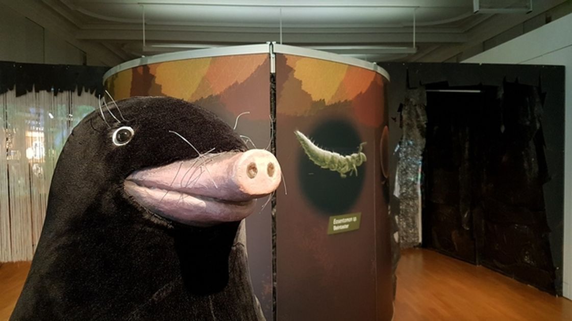 Maulwurf Figur in Ausstellungsraum