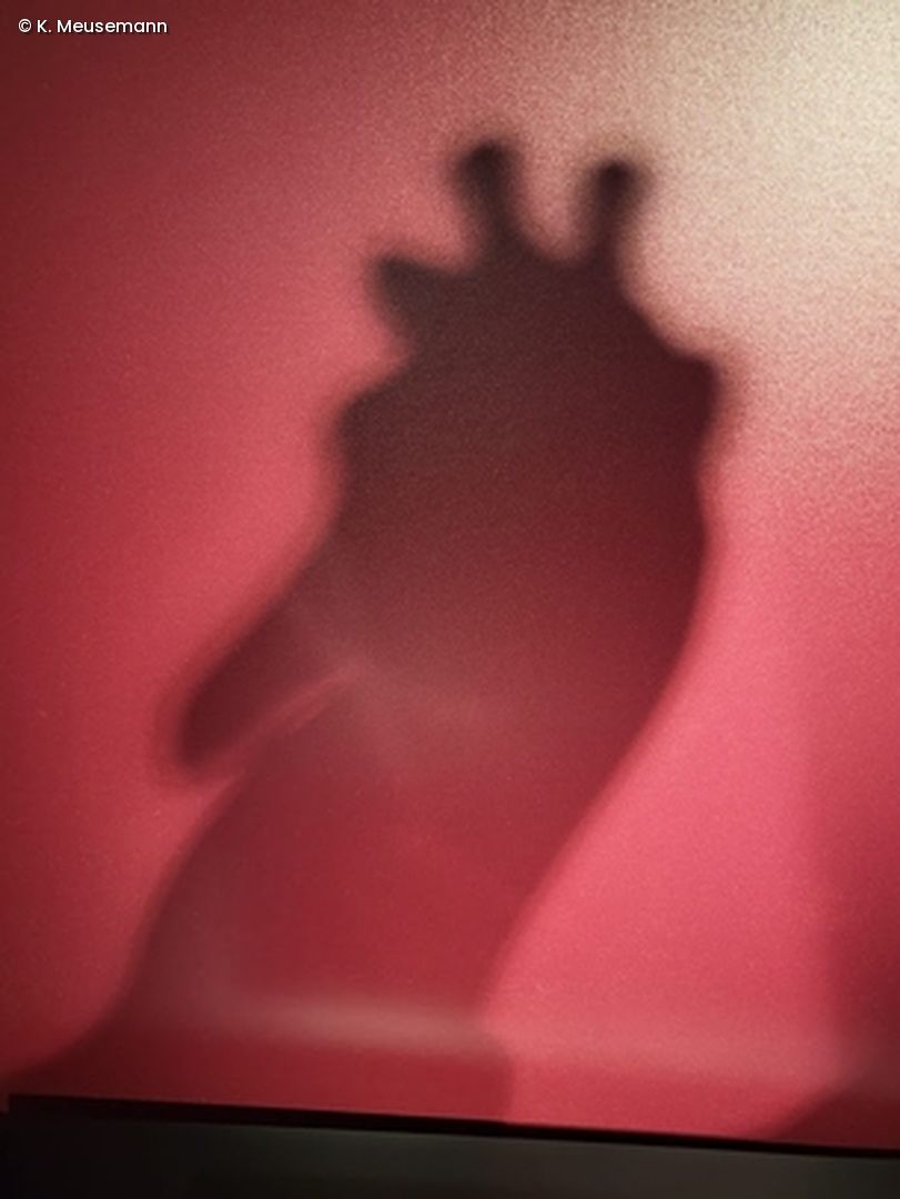 Schatten der Bundesgiraffe