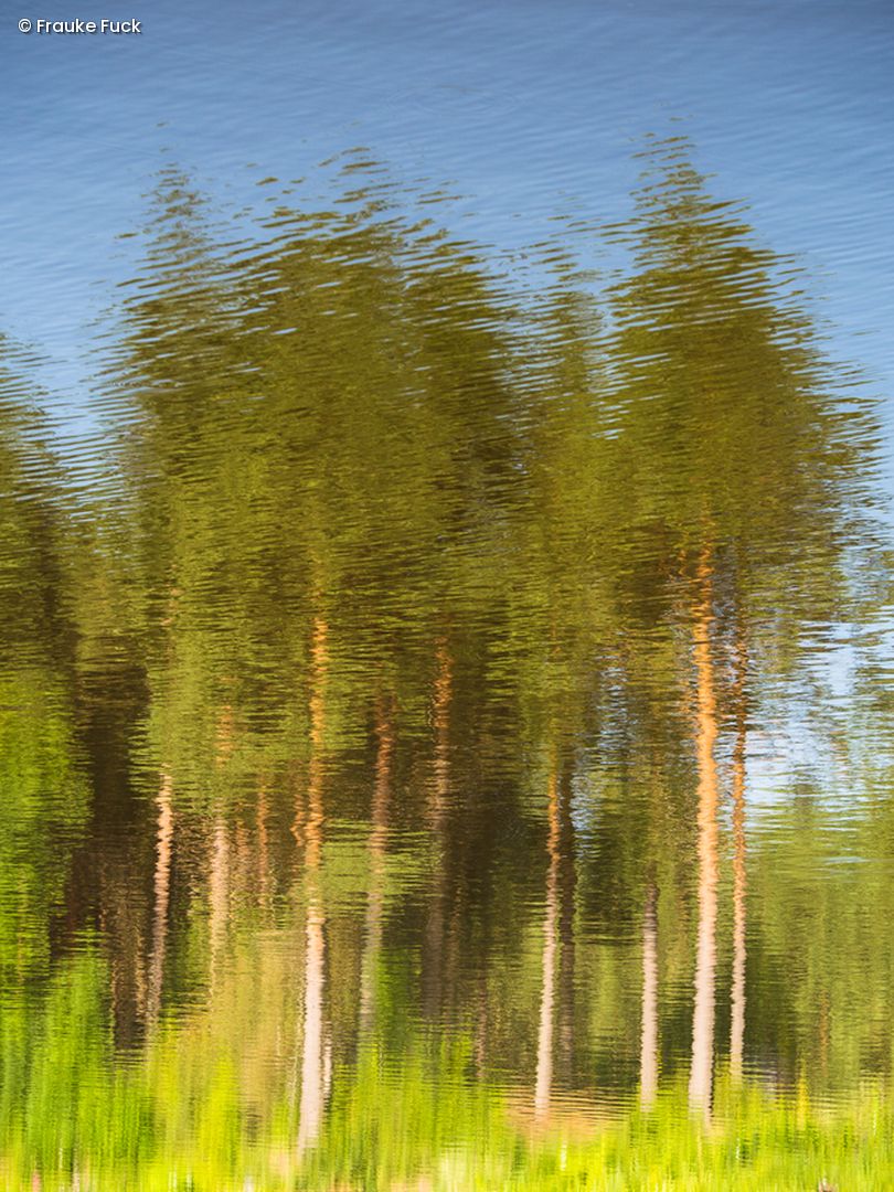 Wald