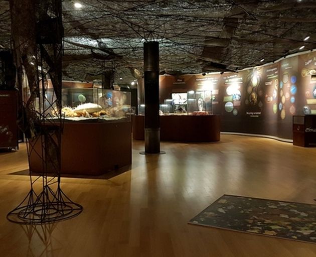Ausstellungsraum