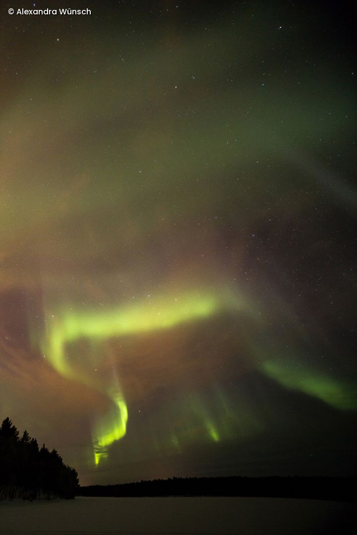 Polarlichter