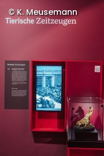 Ausstellungsvitrine mit Bundesgiraffe