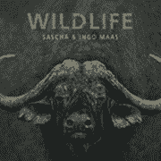 Wildlife Logo & Bullen-Kopf