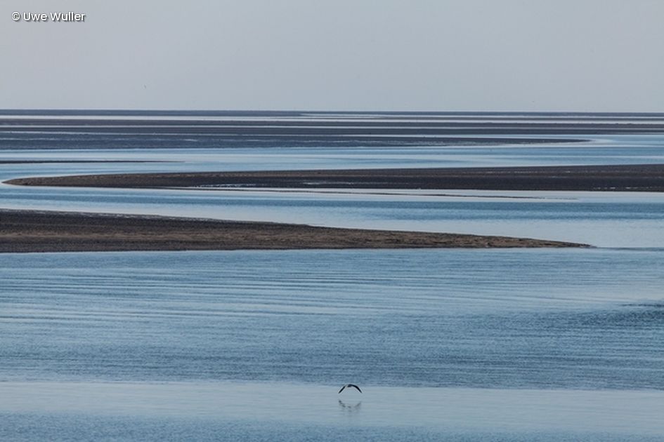 Wasser mit Sandbänken