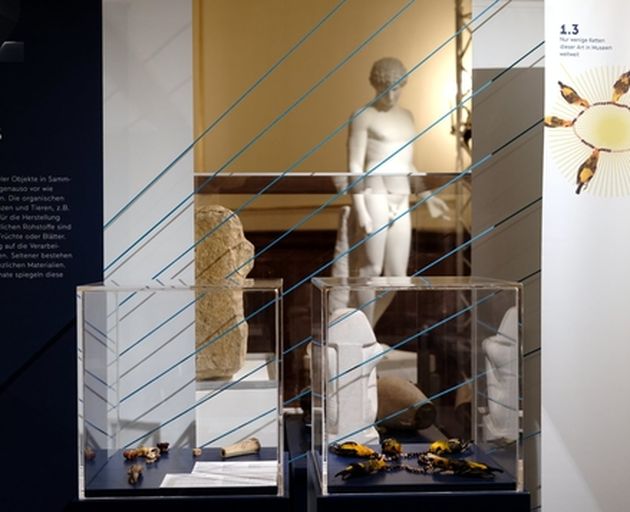 Kosmos Ausstellungsraum