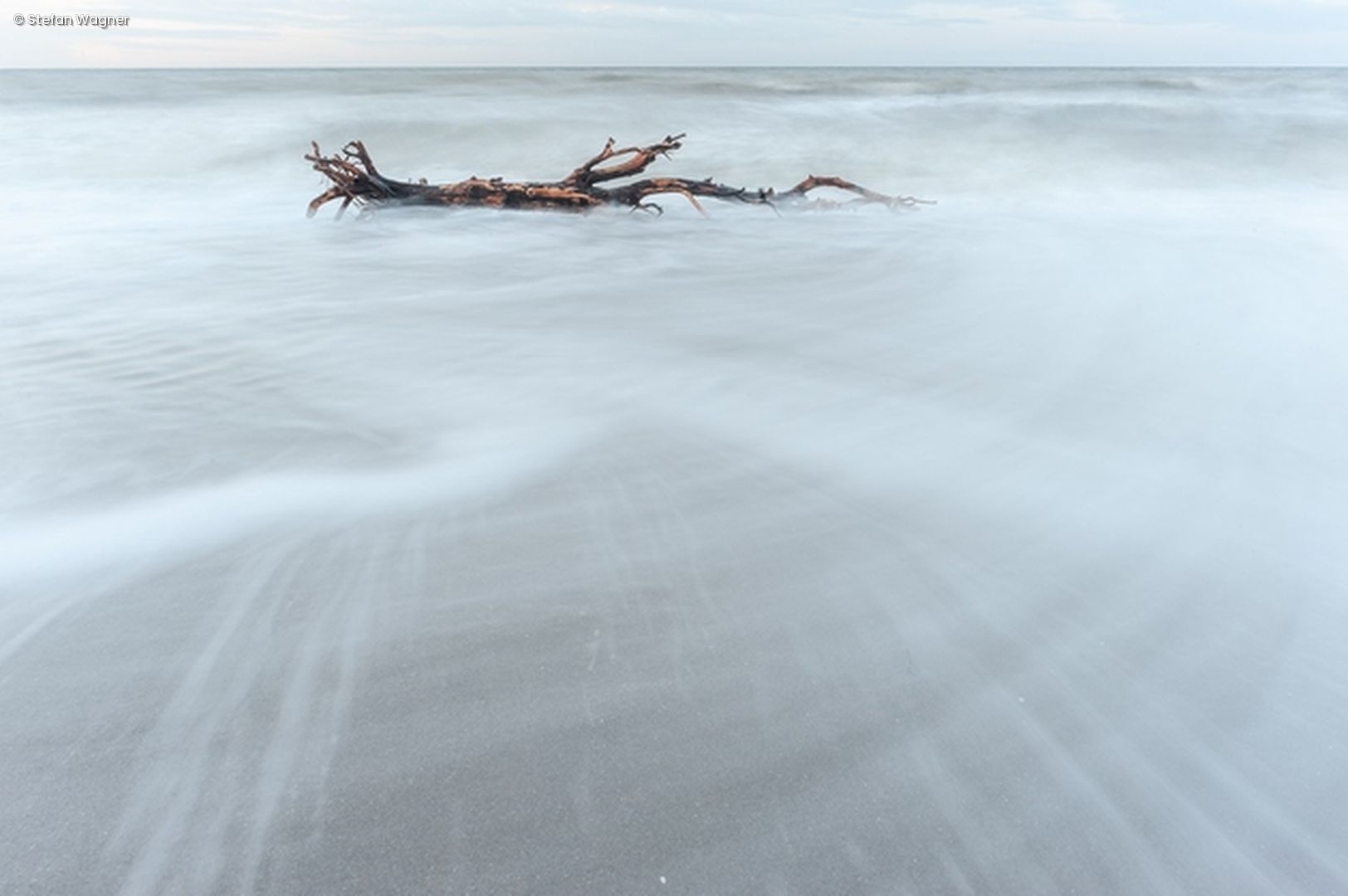Ast am Strand