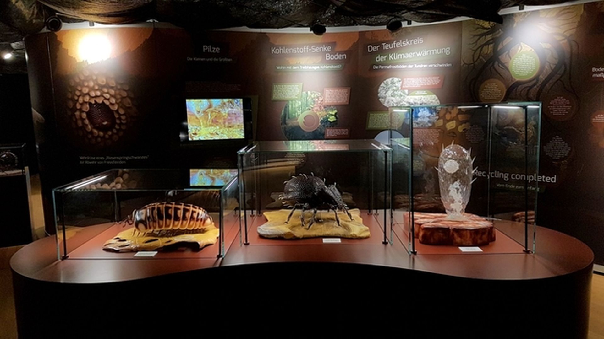 Ausstellungsraum