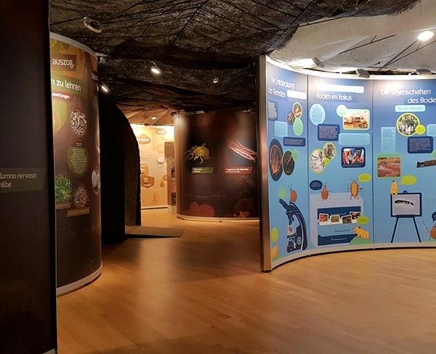 Ausstellungsraum
