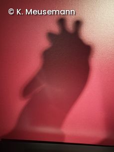 Schatten der Bundesgiraffe