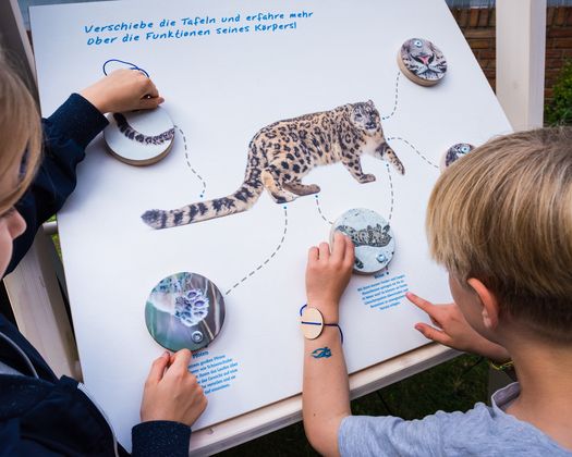Kinder in Ausstellung